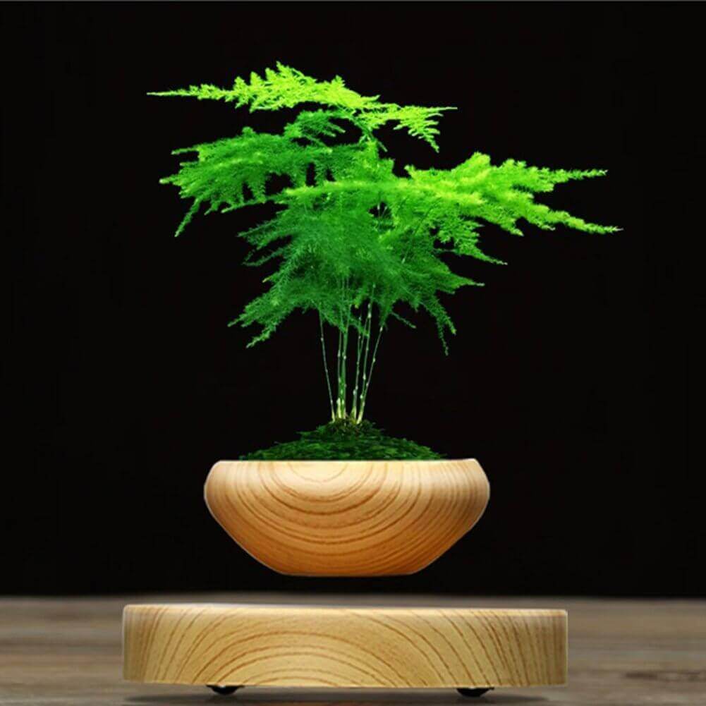 Magnetic Levitation Plants Flower Pot
