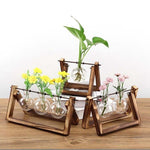 Plant Terrariums with Wooden Stand Glass Vase flowerpot