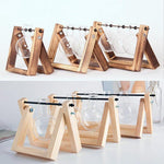 Plant Terrariums with Wooden Stand Glass Vase flowerpot