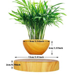 Magnetic Levitation Plants Flower Pot
