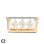 Plant Terrariums with Wooden Stand Glass Vase flowerpot